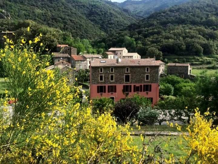 Auberge Cevenole Valleraugue Kültér fotó