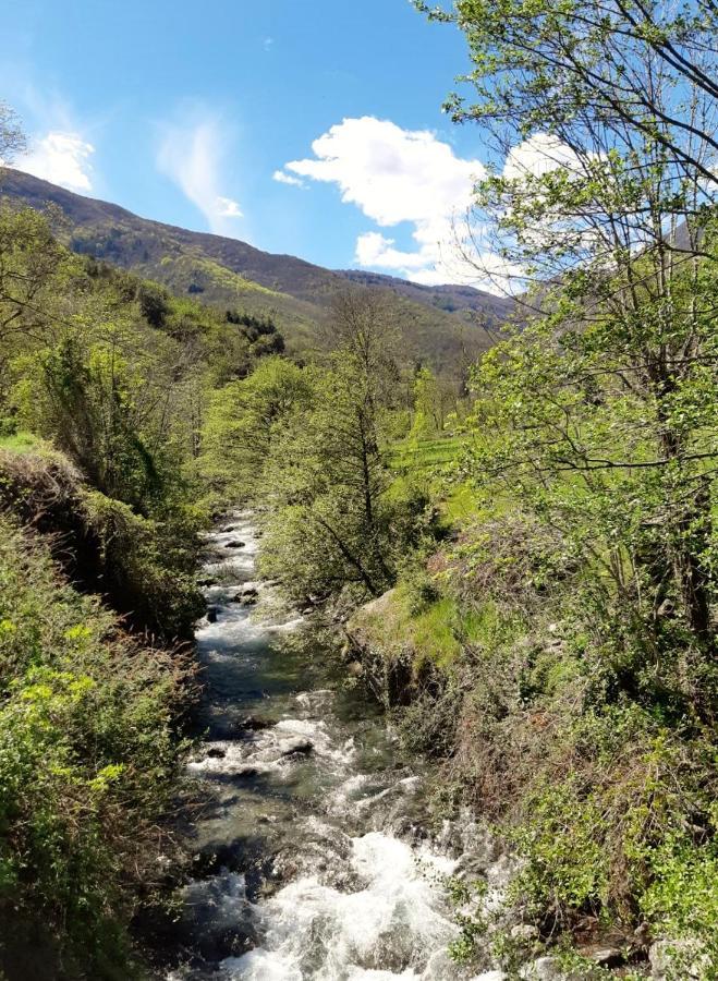 Auberge Cevenole Valleraugue Kültér fotó